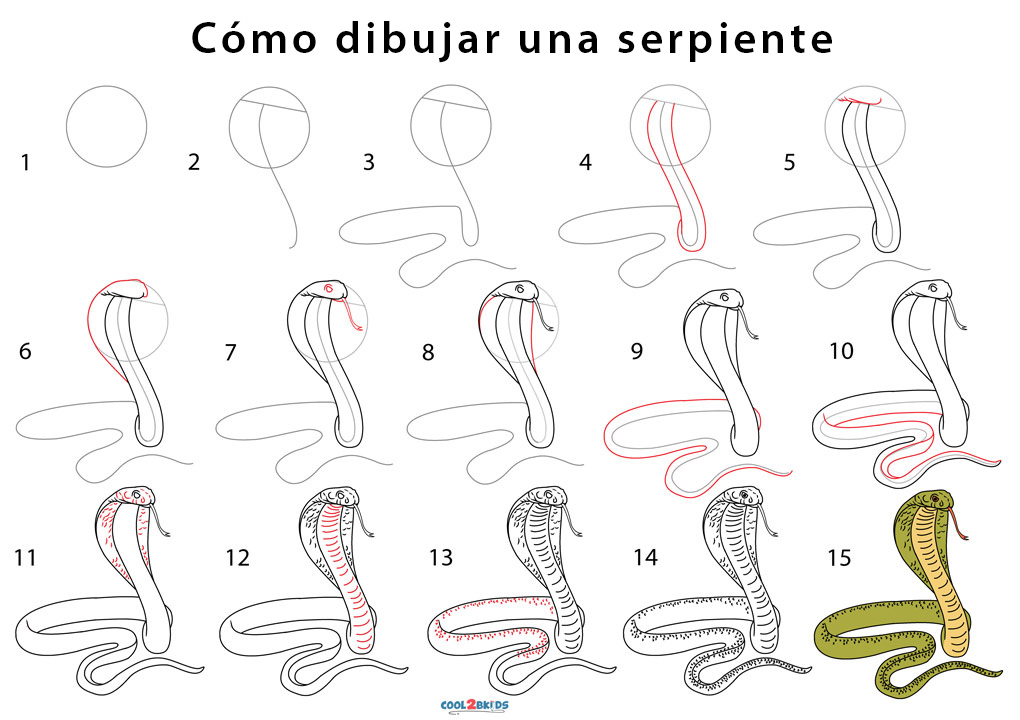 come disegnare un cobra