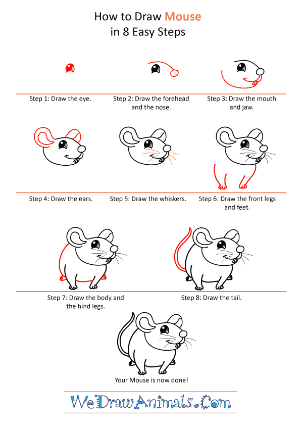 come disegnare un topo