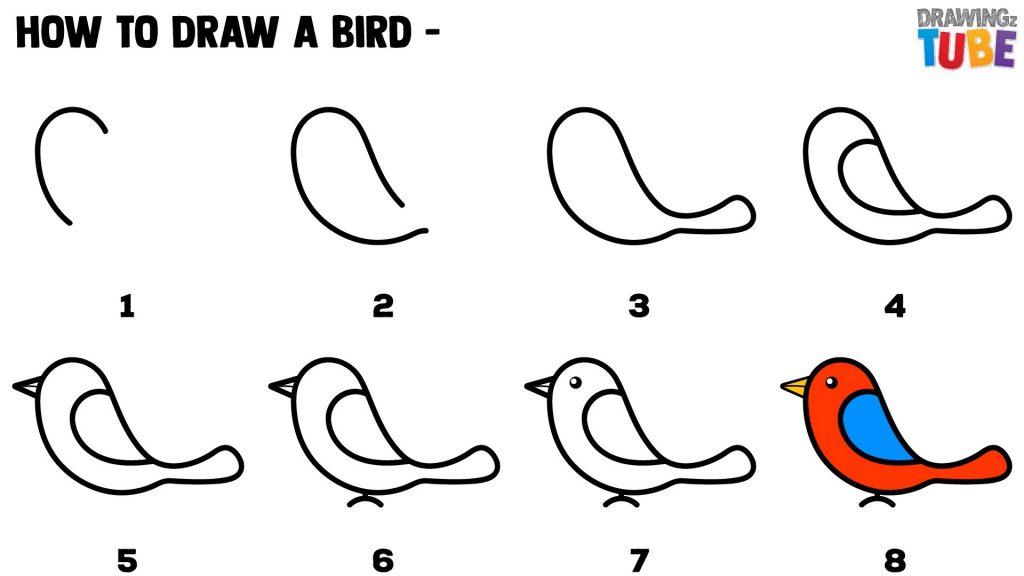 come disegnare un uccello