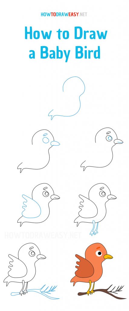 come disegnare un uccellino