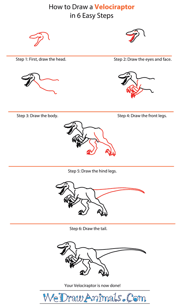 come disegnare un velociraptor
