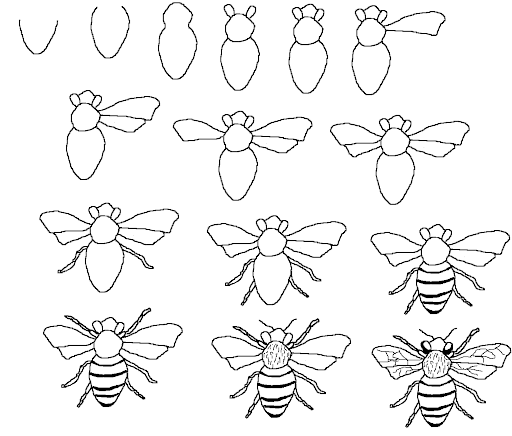 come disegnare un'ape