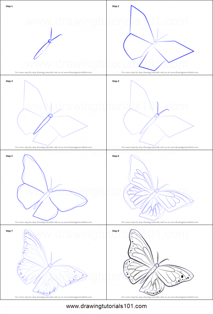 come disegnare una farfalla