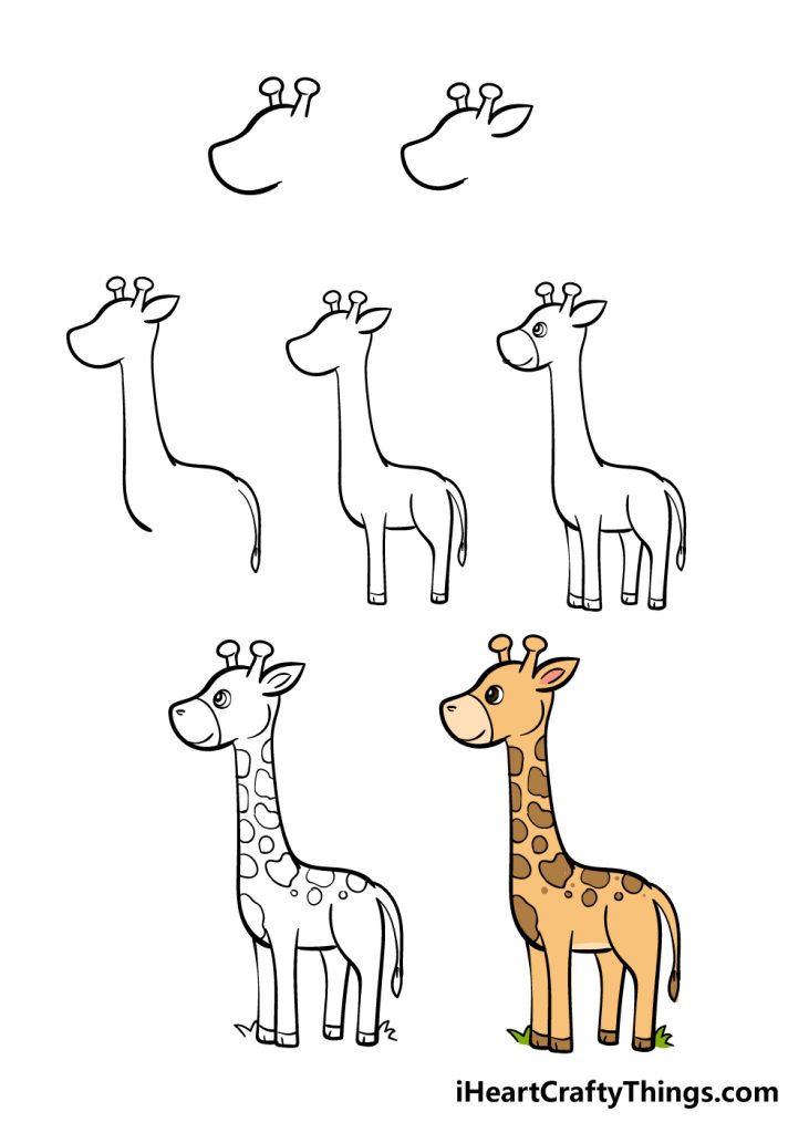 come disegnare una giraffa