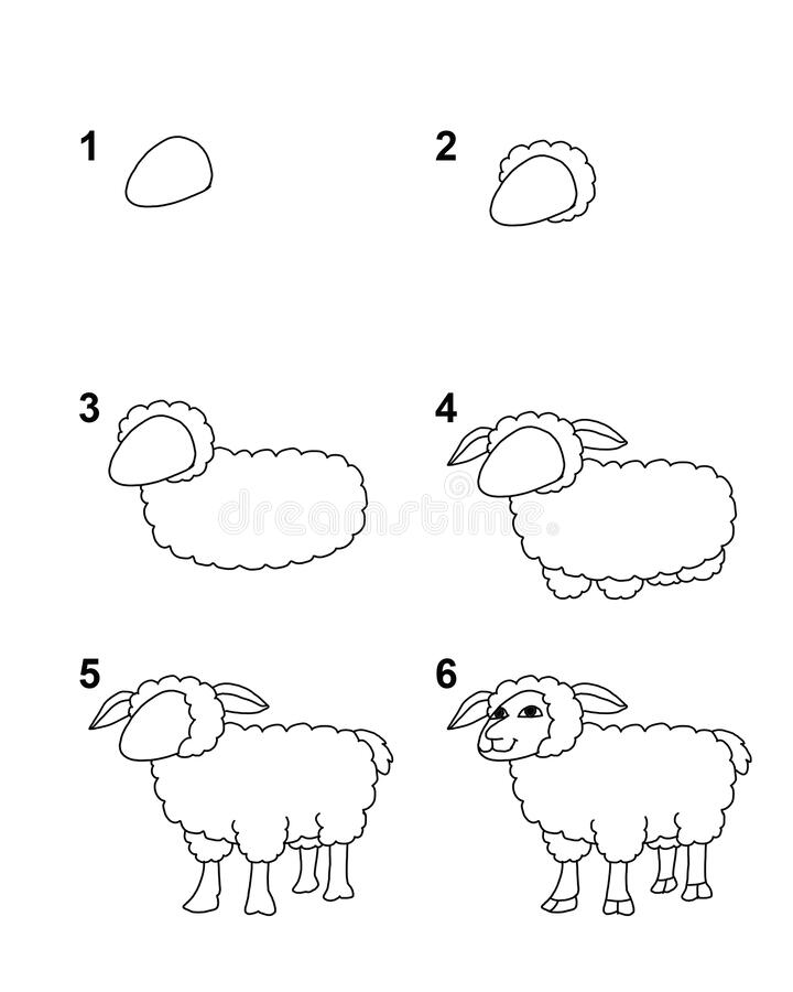 come disegnare una pecora