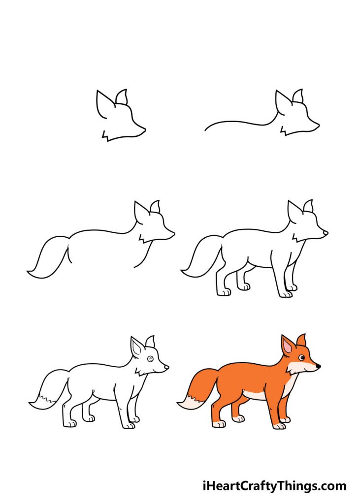 come disegnare una volpe