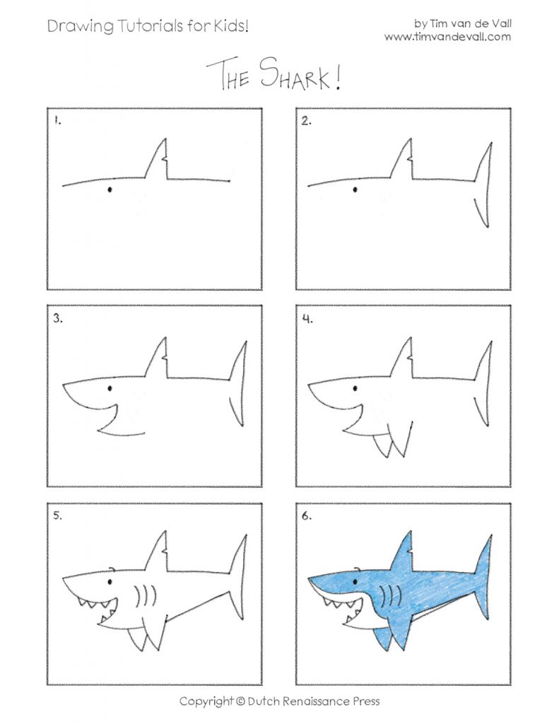 come disegnare uno squalo