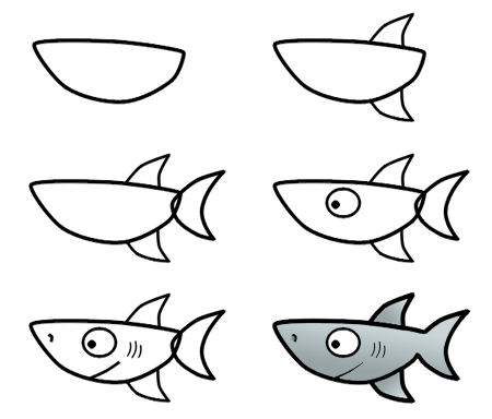 come disegnare uno squalo