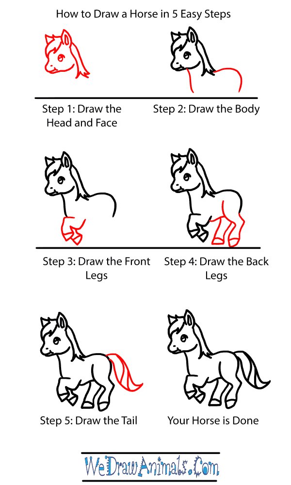 come disegnare un cavallo