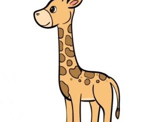come disegnare una giraffa