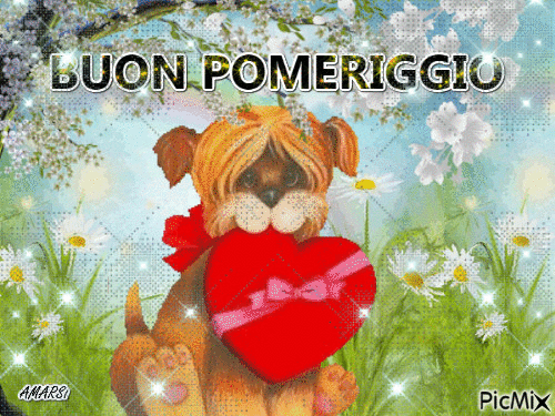 gif buon pomeriggio