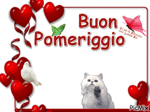 gif buon pomeriggio