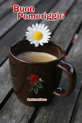 gif buon pomeriggio