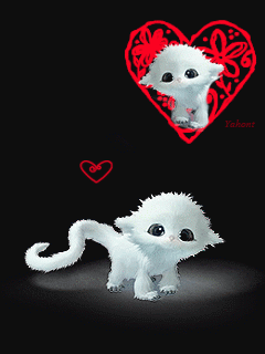 GIF Amore Divertenti gatti