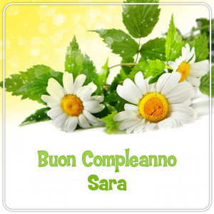 cartoline buon compleanno Sara fiori margherite