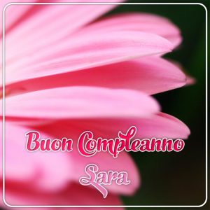 cartoline buon compleanno Sara fiori petali