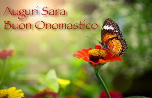 tanti auguri di buon onomastico Sara fiori farfalla