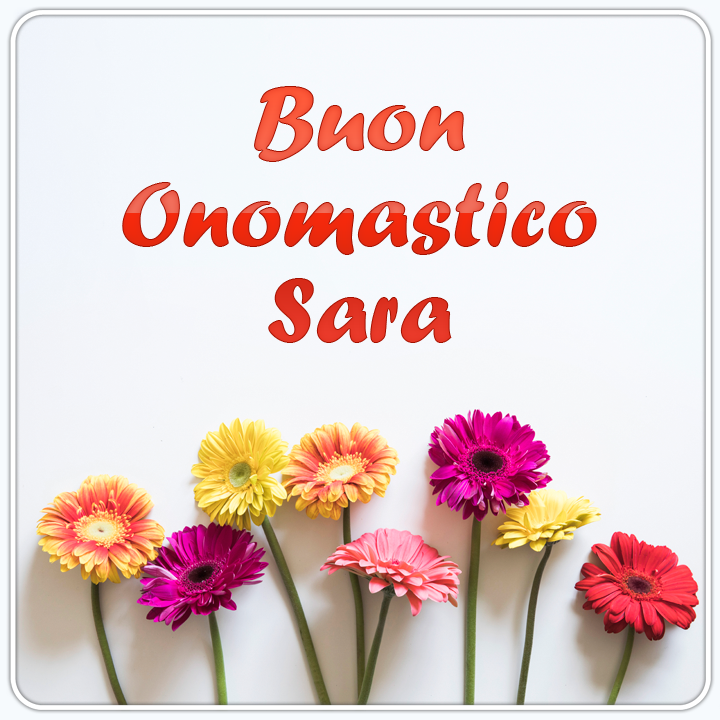 tanti auguri di buon onomastico Sara fiori gerbere margherite