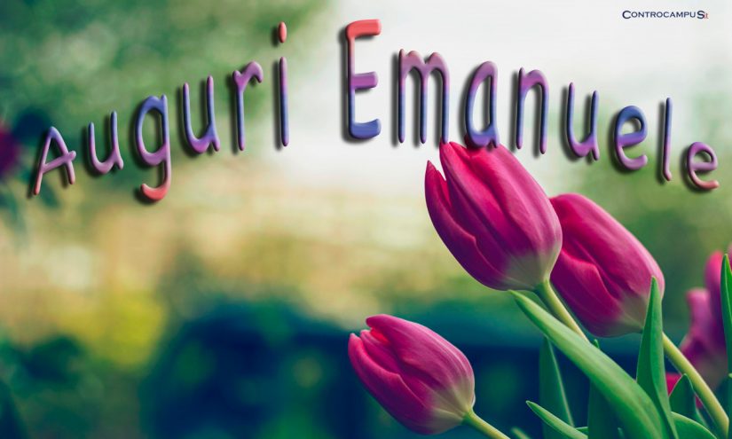 tanti auguri Emanuele fiori tulipani