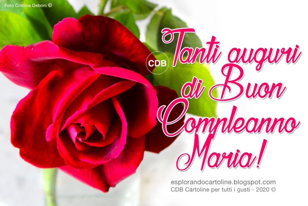cartoline Buon Compleanno Maria fiori rosa rossa