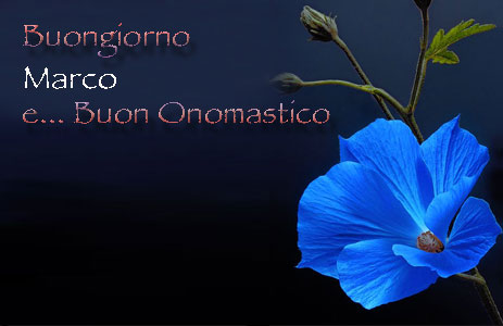 cartoline Buon onomastico Marco fiore