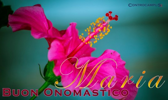 cartoline Buon Onomastico Maria fiori ibisco ibiscus