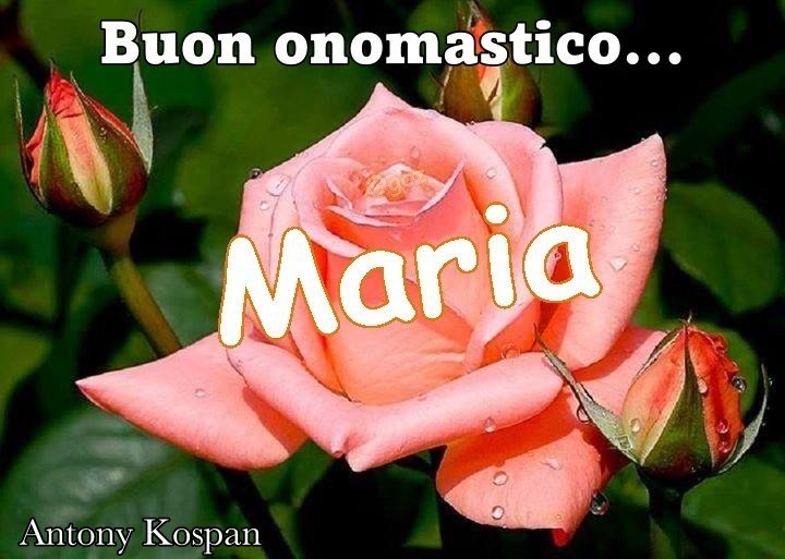 cartoline Buon Onomastico Maria fiori rosa