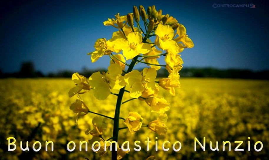 immagini buon onomastico Nunzio fiori