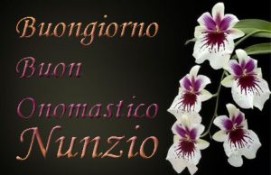 immagini buon onomastico Nunzio fiori