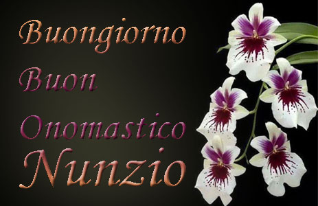 immagini buon onomastico Nunzio fiori
