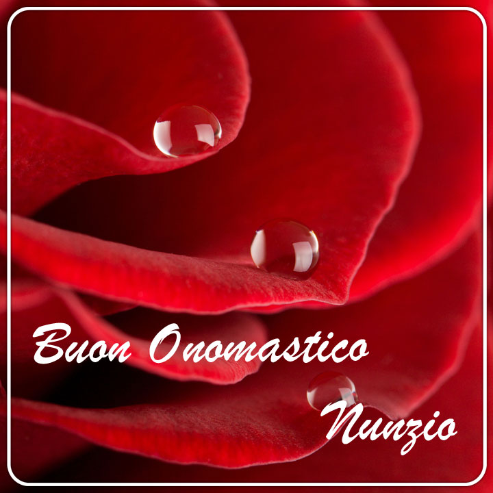 immagini buon onomastico Nunzio fiori rosa rossa