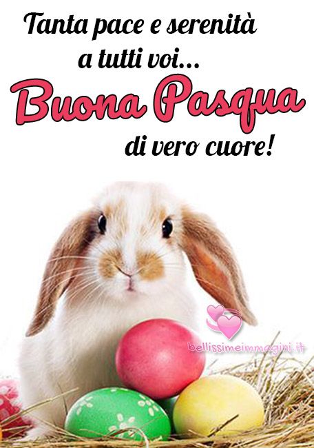 Tanti auguri di Buona Pasqua di vero cuore uova conoglio