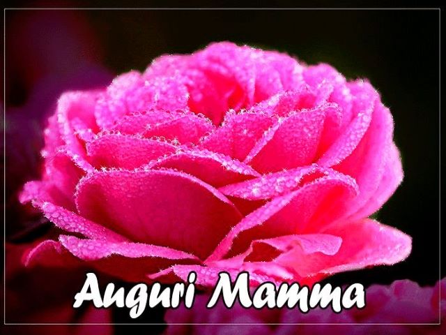 immagini e cartoline Tanti Auguri Mamma fiori rosa