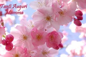 immagini e cartoline Tanti Auguri Mamma fiori