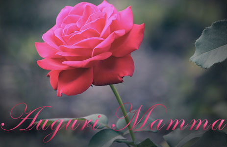 immagini e cartoline Tanti Auguri Mamma fiori rosa