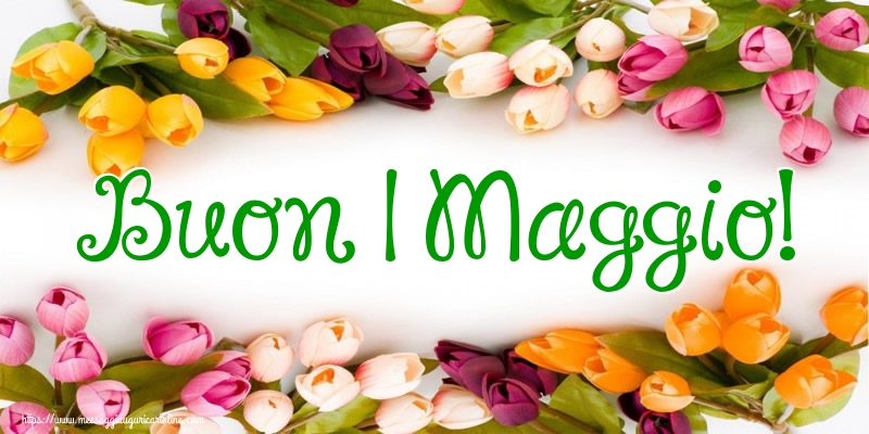auguri Buon 1 Maggio Buona Festa dei Lavoratori fiori tulipani