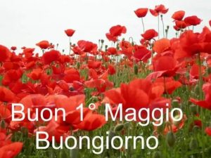 auguri Buon 1 Maggio Buona Festa dei Lavoratori fiori tulipani