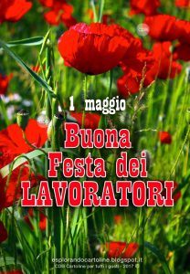 auguri Buon 1 Maggio Buona Festa dei Lavoratori fiori papaveri