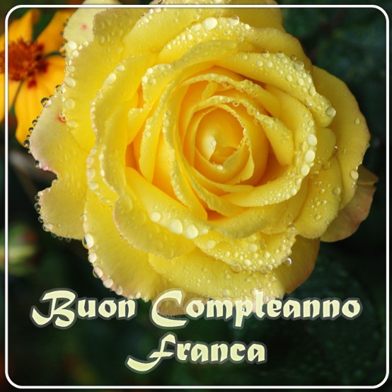 auguri buon compleanno Franca fiori rosa gialla