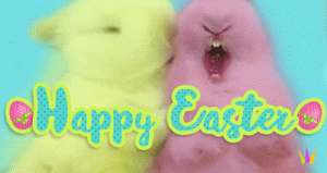 gif divertenti buona pasqua happy easter coniglio