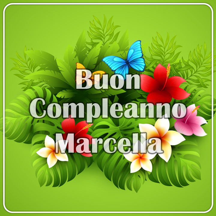 immagini cartoline buon compleanno Marcella fiori farfalle