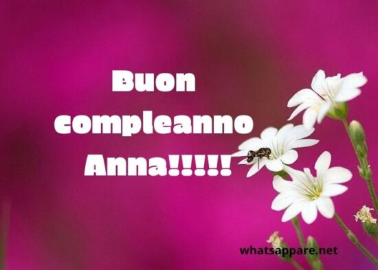 immagini cartoline auguri buon compleanno Anna fiori