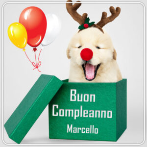 immagini cartoline buon compleanno Marcello regalo palloncini