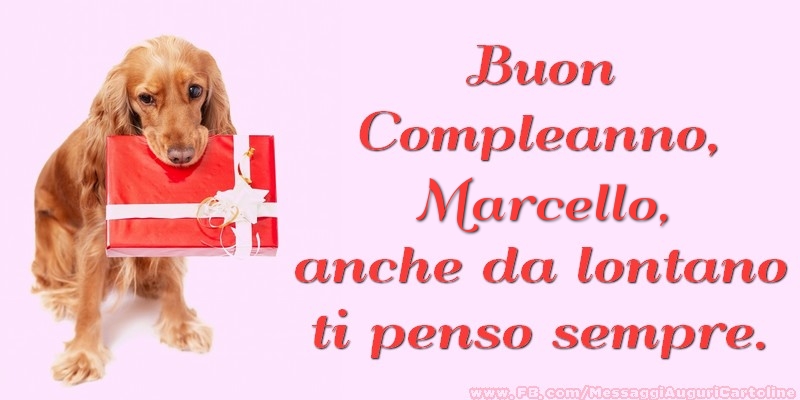 immagini cartoline buon compleanno Marcello