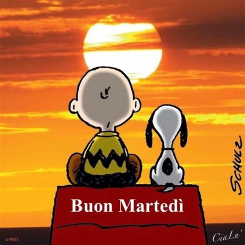immagini divertenti buon martedì Snoopy Charlie Brown