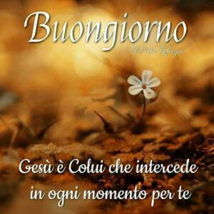 immagini cristiane cattoliche buongiorno Gesù è il Signore