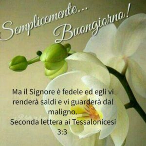 immagini cristiane cattoliche buongiorno Dio è fedele