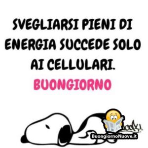 immagini divertenti buongiorno buona domenica Snoopy