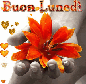 gif buon lunedì