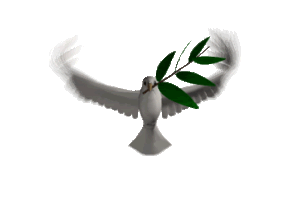 gif cattoliche cristiane buona domenica delle palme